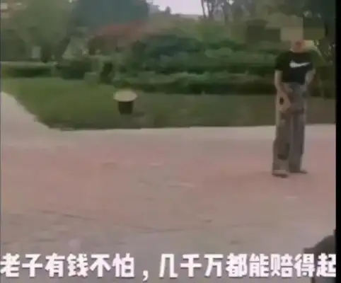 A girl walks a dog and bites a girl. Parents hold a dog girl as valuable to your child