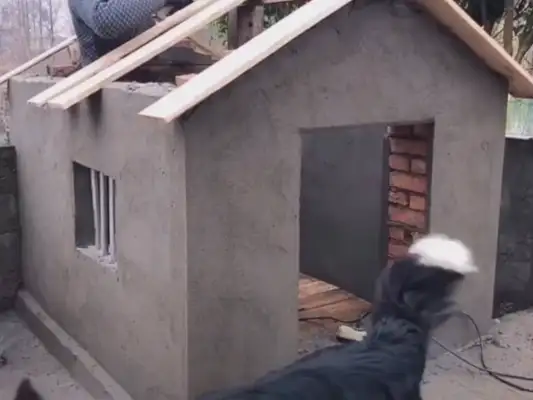 Grandpa didn't want a dog in the first place and now he's building a villa for the dog