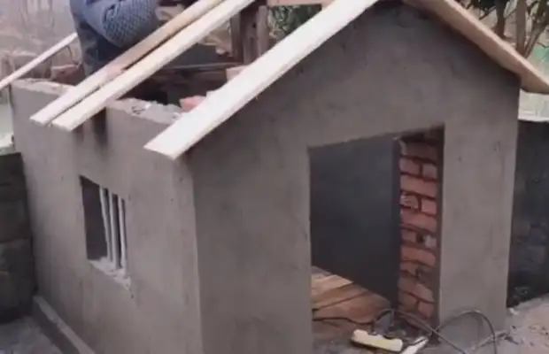 Grandpa didn't want a dog in the first place and now he's building a villa for the dog