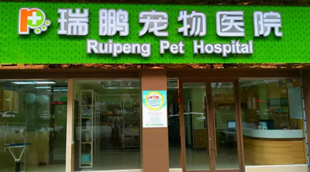 The pet hospital that treats cats and dogs, the gold-absorption system