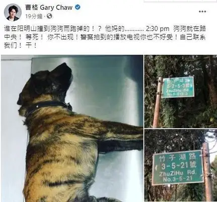 How crazy is a star pet dog? It doesn't matter that Cao was bitten by his own dog
