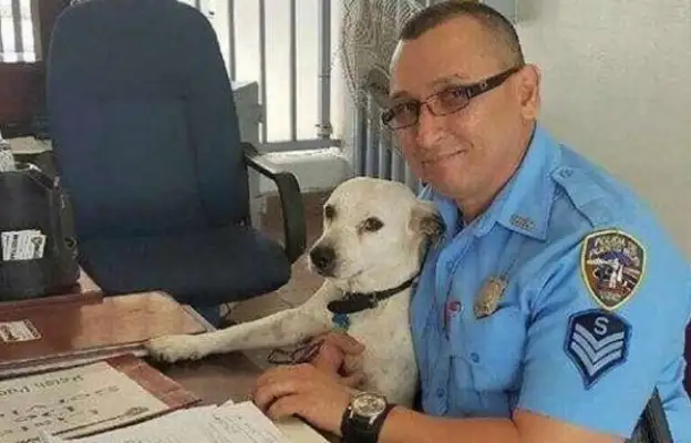 The dog ran away from the owner. It's the same place every time. It makes the police laugh