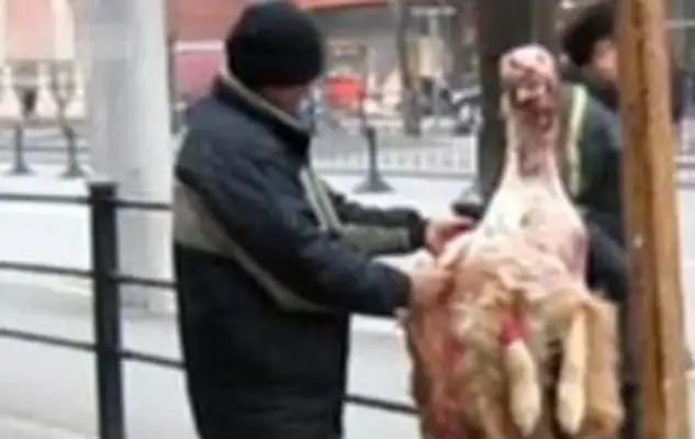 The dog was skinned in the street, and the killer was a terrible act