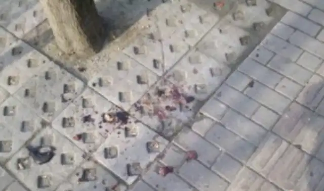 The dog was skinned in the street, and the killer was a terrible act