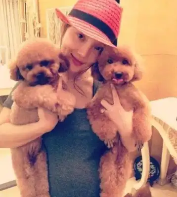 We have a dog born abroad, and Chinese children throw it away