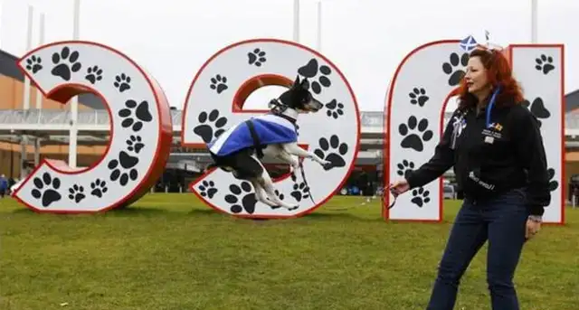 We've come to the biggest dog show in the world